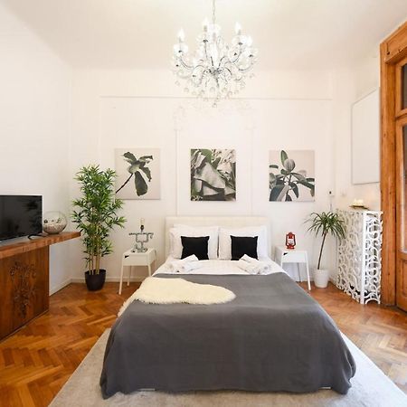 Vintage Elegance, Modern Comfort: 1Br Apartment Overlooking Calea Victoriei Bucarest Extérieur photo