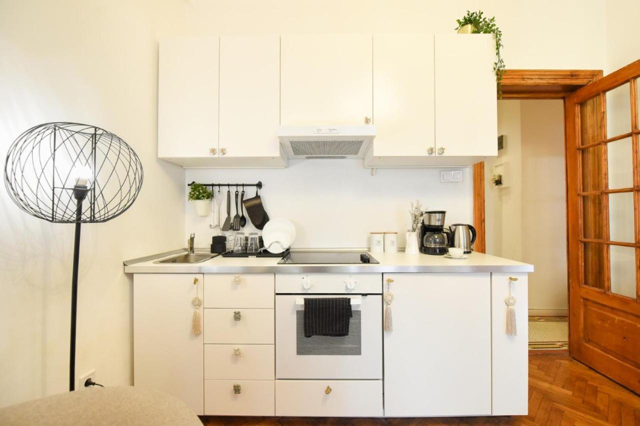 Vintage Elegance, Modern Comfort: 1Br Apartment Overlooking Calea Victoriei Bucarest Extérieur photo